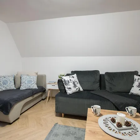 Apartament U Kominkow Zakopane Scisle Centrum Exterior photo